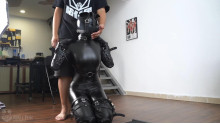 フィットネスの人型犬
